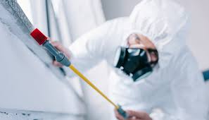 Best Pest Control for Multi-Family Homes  in Libertyvle, IL